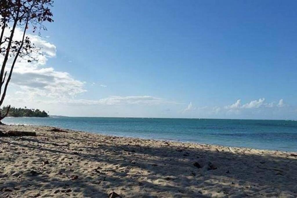 Appartement Aquatika 2303 à Loiza Extérieur photo